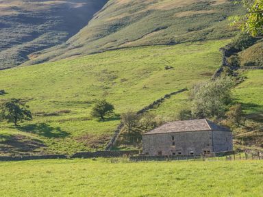 A stone barn with a tiled roof on a grassy hillside surrounded by stone walls and trees at Hollowgill Barn in Sedbergh