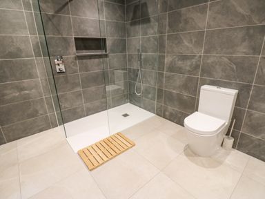 A bathroom with a walk-in shower and a toilet at Hollowgill Barn in Sedbergh