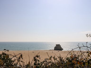 A sandy beach with a large rock near the water and plants in the foreground at Wheal Prosper@The West Dry in St Austell