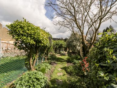 A garden path with trimmed trees and shrubs along a fence at Red Roof in Marsh near Combe St Nicholas