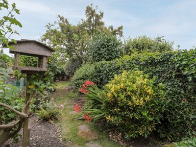 A garden path with bushes flowers and a wooden bird feeder at Red Roof Marsh near Combe St Nicholas