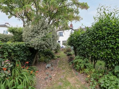 A garden pathway lined with plants and trees leading to a white house at Red Roof in Marsh near Combe St Nicholas