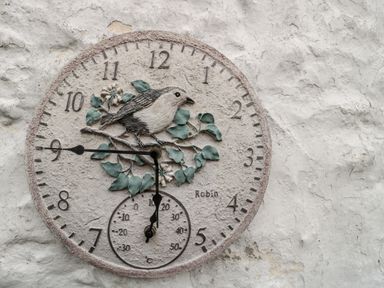A decorative round wall clock with a bird and leaves design mounted on a textured white wall at Red Roof Marsh near Combe St Nicholas