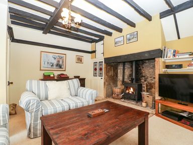 A living room with striped sofas a wooden coffee table a wood burning stove and a television at Red Roof Marsh near Combe St Nicholas