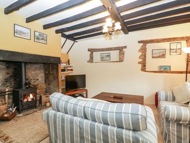 A living room with a wood burning stove tv sofas and coffee table at Red Roof in Marsh near Combe St Nicholas