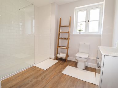 A bathroom with a shower, toilet, wooden ladder shelf, and a window at Ty Owen in Newport Pembrokeshire