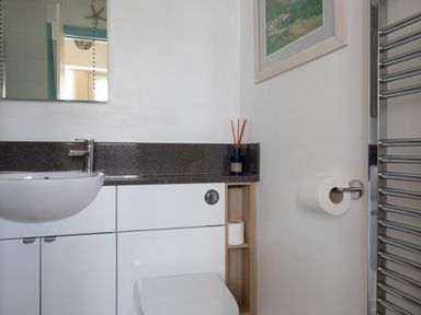 A bathroom with a sink and white cabinets a toilet with toilet paper and a metal towel radiator at End Cottage in Malborough