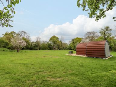 A field with a small structure and two chairs on grass surrounded by trees at Meadow Lodge Berrys Place Farm in Churcham