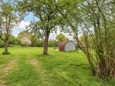 A grassy field with trees and a small arched wooden structure at Meadow Lodge @ Berrys Place Farm in Churcham