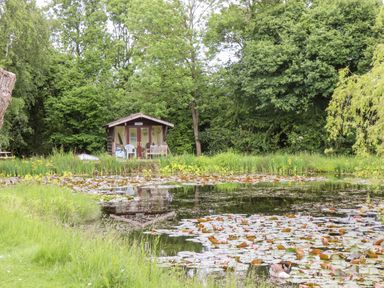 A pond with lily pads and a duck near a small wooden shed surrounded by trees at Meadow Lodge at Berrys Place Farm in Churcham