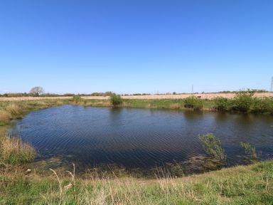 A pond with grass and trees at Sweet Caroline Shepherd’s Hut Low Marnham near Sutton-On-Trent