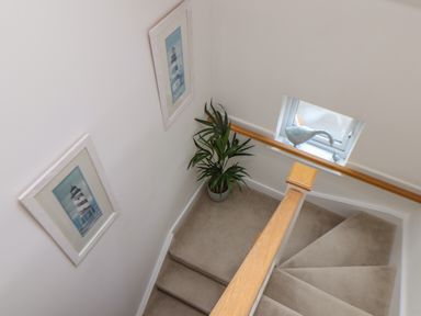 A staircase with beige carpet a wooden handrail two framed pictures on the wall a green plant in a white pot and a small window with a bird decoration at Upper Deck in Truro