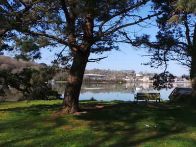 A lakeside view with trees and a bench overlooking water and buildings across at Upper Deck in Truro
