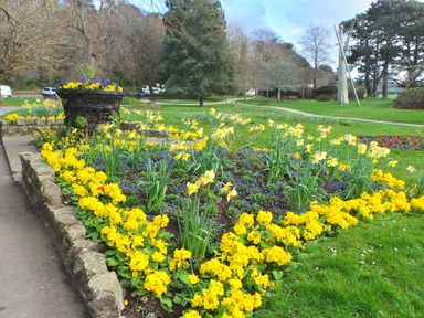 A flower bed with yellow and purple flowers in a park with trees and grass at Upper Deck in Truro