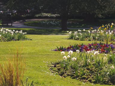 A garden with multiple flower beds of white daffodils and mixed colorful flowers and green grass with trees and a bench in the background at Upper Deck in Truro