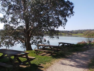 A lakeside area with wooden picnic tables under a tree and a dirt path at Upper Deck in Truro