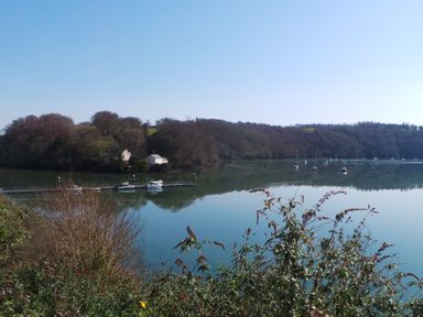 A calm river with boats docked near the shore and houses surrounded by trees at Upper Deck in Truro