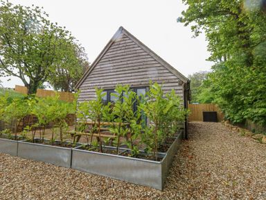 A small wooden building with plants in metal planters and gravel path at Roman Lodge in Osmington