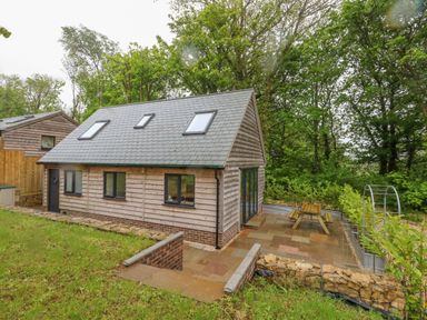 A wooden house with skylights and a patio with a picnic table surrounded by trees at Roman Lodge in Osmington