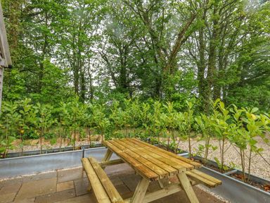 A wooden picnic table on a stone patio with small plants in metal planters and trees in the background at Roman Lodge in Osmington