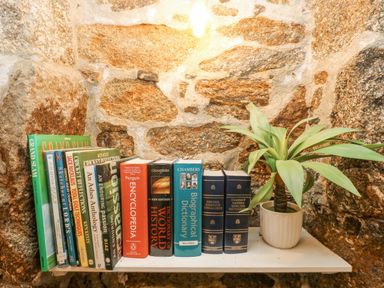 A shelf with books and a potted plant against a stone wall at Walter in Newlyn