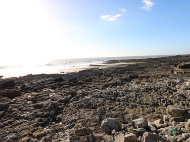 Rocky shoreline with tide pools and a sandy beach with a few people near the ocean at 16 Heritage Park in Heritage Park near Kilgetty