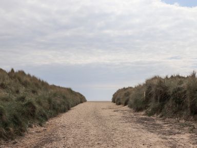 A sandy path between grass-covered dunes leading to a beach at 31 Beach Road in Morfa Bychan