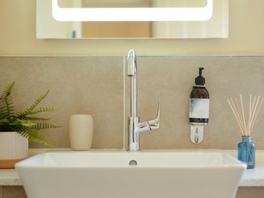 A bathroom sink with a chrome faucet a plant in a pot a soap dispenser and a reed diffuser at Faraway Cottage in St Levan near Porthgwarra