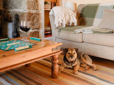 A living room with a dog lying on a rug near a wooden coffee table with a scrabble game and two glasses of red wine at Three Chimneys in St Levan near Porthgwarra
