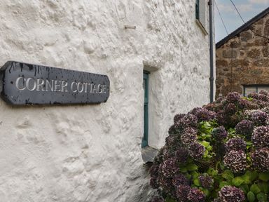 A white textured wall with a sign saying corner cottage next to a bush with purple flowers at Corner Cottage in Porthgwarra