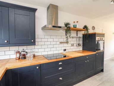 A kitchen with dark cabinets wooden countertop stovetop oven and shelves with plants at Dolwyn in Llandegfan