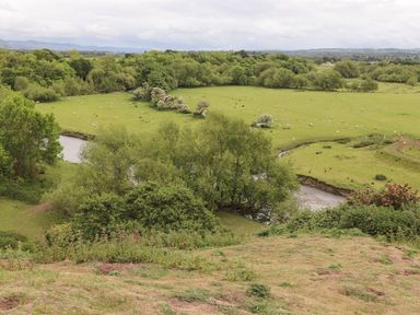 A river flowing through a green field with scattered sheep and trees at Beeches Bach in Prestatyn