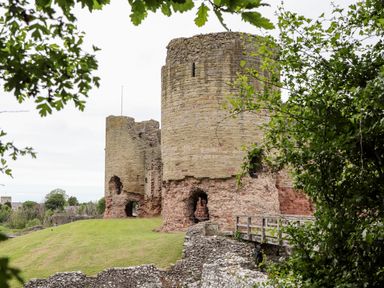 An ancient stone castle ruin with circular towers and a grassy area nearby surrounded by trees at Beeches Bach in Prestatyn