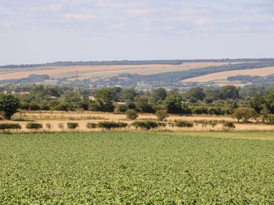 A green field with trees and bushes and rolling hills in the background at Chalet 5 in Sherburn
