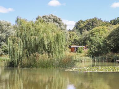 A lake with reed plants and a small wooden hut surrounded by trees at The Shepherds Hut at Bridge Lake Farm & Fishery in Chacombe