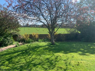 A garden with a tree and grass in front of a stone wall with fields beyond at Ley Mill Farm in Huntley