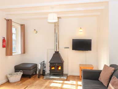 A living room with a fireplace and television at Bracken Cottage in St Tudy