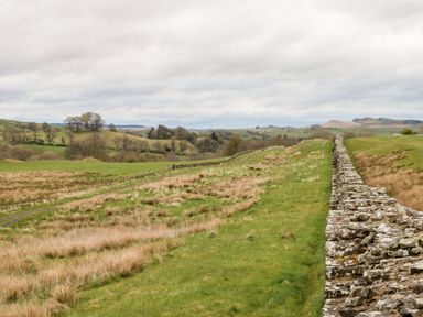 A countryside landscape with a stone wall running through grassy fields and hills at Buzzards Rest in Stannington near Morpeth