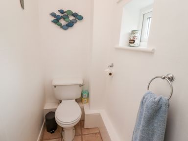 A small bathroom with a toilet a towel on a ring and a wall decoration of fish at Pond Farm View in Hinderwell