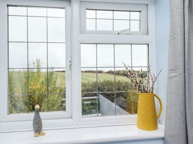 A window with a ceramic bird and a yellow vase with branches on the sill at Pond Farm View in Hinderwell