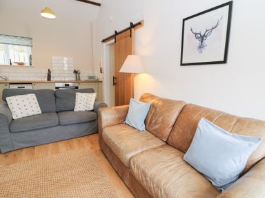 A living room with two sofas a floor lamp a framed deer picture and a kitchen area at Dryslwyn Cottage in Llandeilo