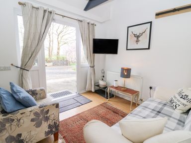 A sitting room with a patterned armchair pillows a TV and a small table with a lamp at Dinefwr Cottage Golden Grove near Llandeilo