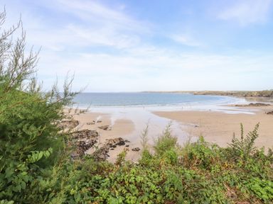 A sandy beach with rocks and seaweed viewed from a green bushy cliff at King Edward's View in Newquay