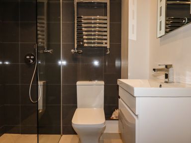 A bathroom with a toilet a sink and a shower area at King Edward's View in Newquay