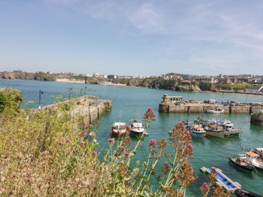 A harbor with boats docked near piers and wildflowers in the foreground at King Edward's View in Newquay
