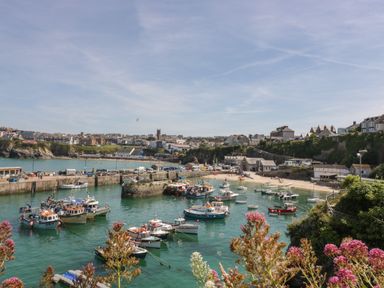 A harbor with boats docked in the water and houses on cliffs in the background at King Edward's View in Newquay