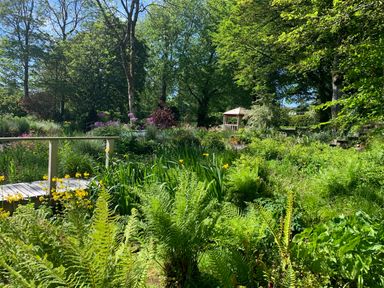 A garden with a wooden bridge flowers and a gazebo surrounded by trees at The Old Watermill in St Mabyn