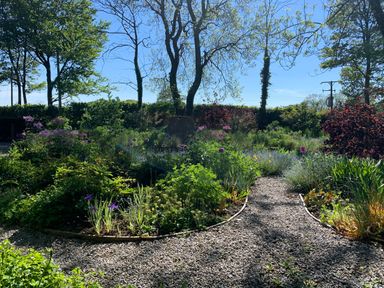 A garden with gravel paths surrounded by various plants and flowers at The Old Watermill in St Mabyn