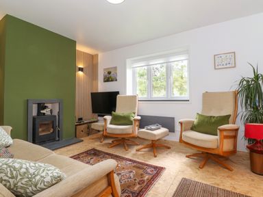 A living room with beige chairs a green feature wall and a television at Yamthwaite in Grizedale near Hawkshead