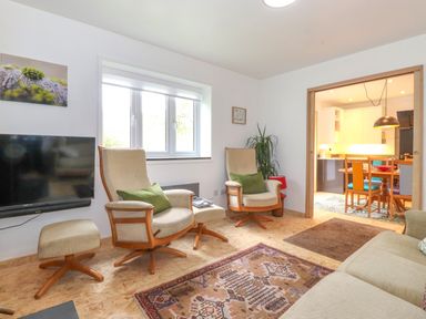 A living room with two armchairs with green cushions a wall mounted TV and a patterned rug at Yamthwaite in Grizedale near Hawkshead